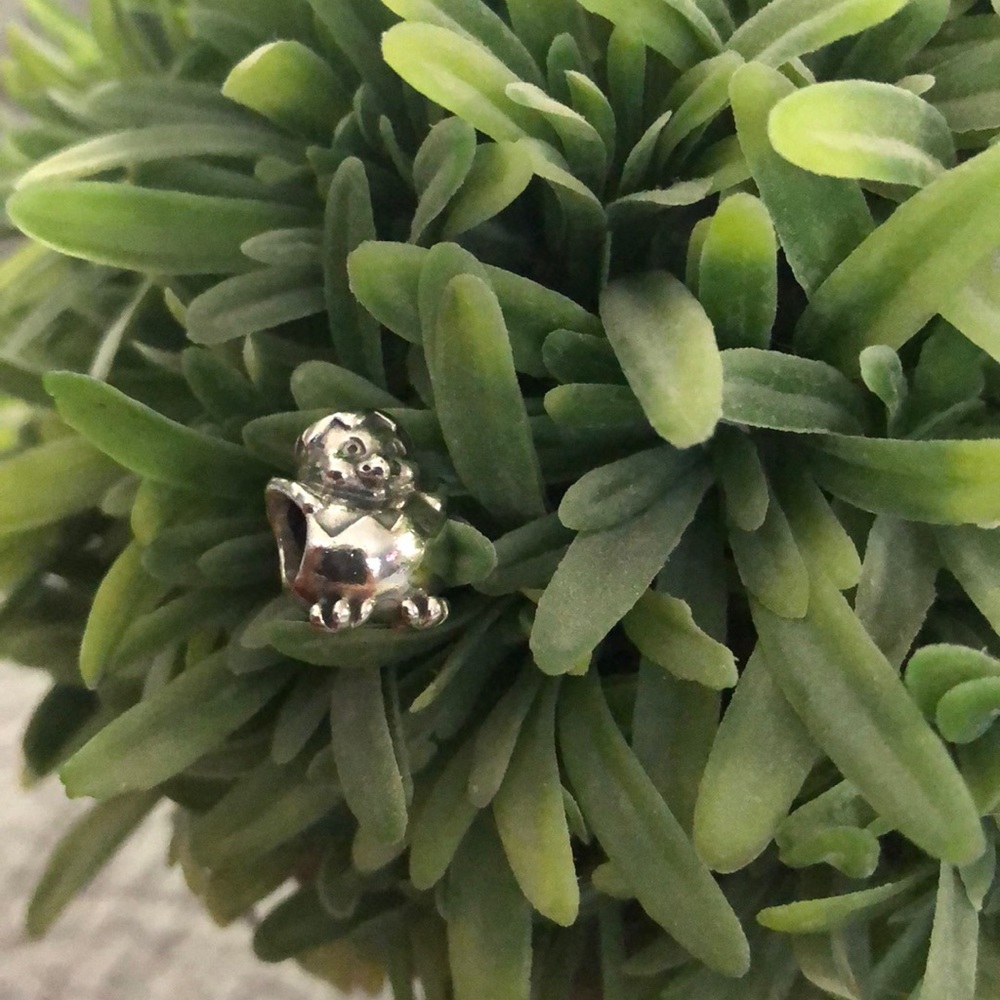 Pandora Charm